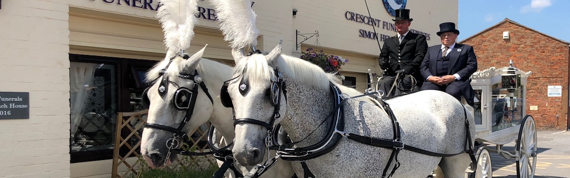 horses